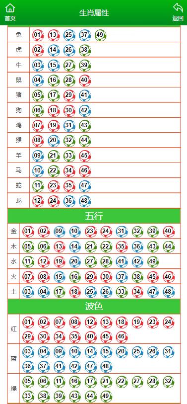 2024年12月19日 第66页