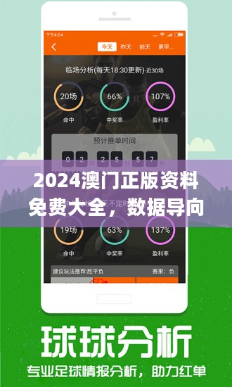 2024新 天天资料免 大全,诠释分析定义_战略版19.964