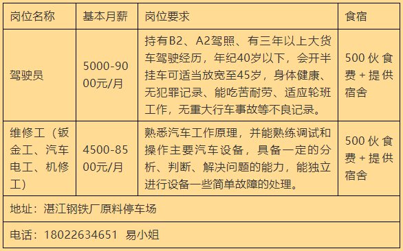 廉江最新商务司机招聘，职业前景、需求分析与应聘准备全解析