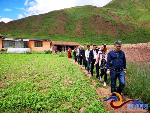 尼布村最新项目重塑乡村未来希望之路