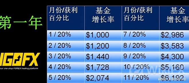 IGOFX外汇最新消息深度解析及市场动态关注