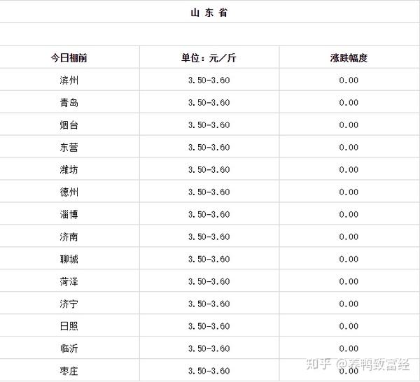 山东毛鸡最新价格分析与展望，今日行情及未来趋势预测