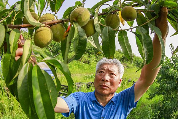 泗洪县交通新闻更新，迈向更加便捷的未来之路（2017年）