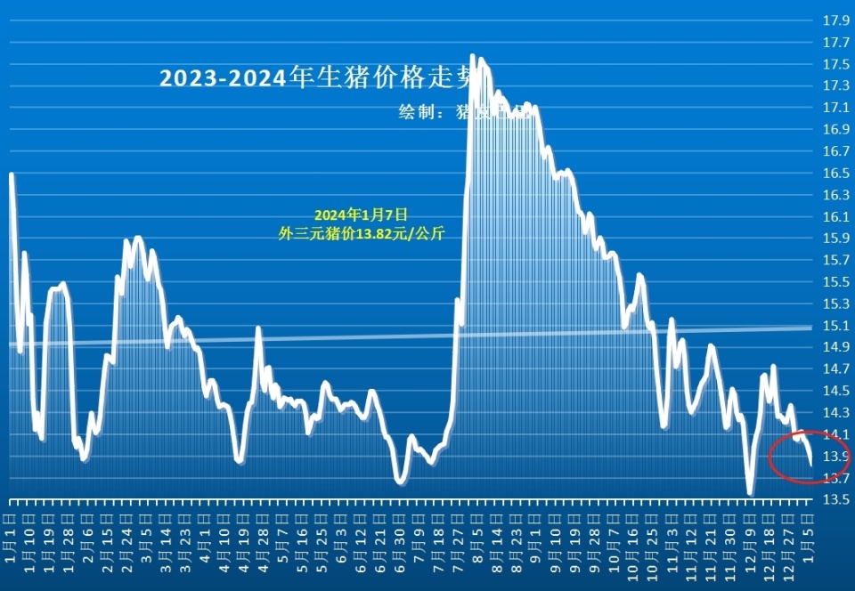 全国最新生猪价格走势深度分析，市场趋势与影响因素探讨