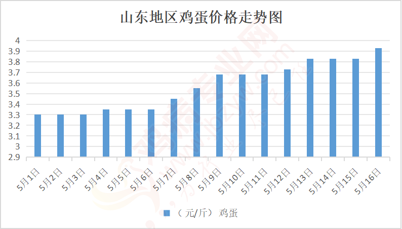 山东省鸡蛋最新价格动态分析与趋势预测