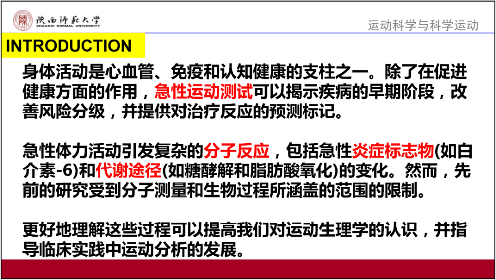 2O24新奥正版资料免费提供,效率资料解释落实_4DM10.196