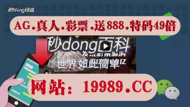 2024澳门天天开好彩大全下载,绝对经典解释定义_DP41.453