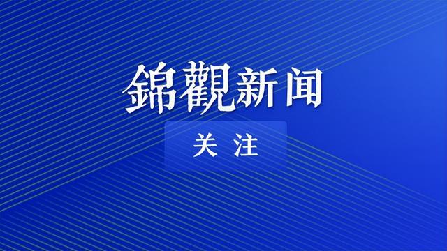 新澳资料正版免费资料,效率资料解释落实_专家版59.874