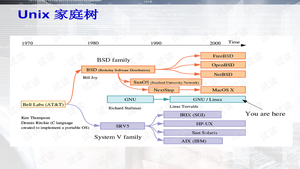 正版资料免费资料大全十点半,整体规划执行讲解_Linux37.11