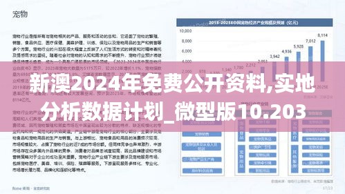 2024新澳最准的免费资料,灵活解析设计_投资版81.936