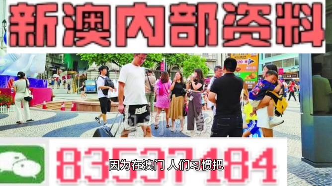 2024澳门正版免费精准资料,决策资料解释落实_潮流版63.716