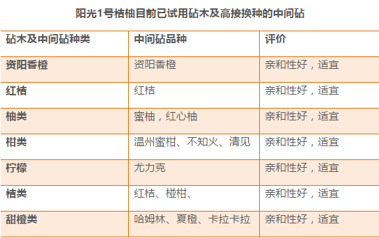 新奥开奖结果今天开奖,决策信息解析说明_精装版30.492