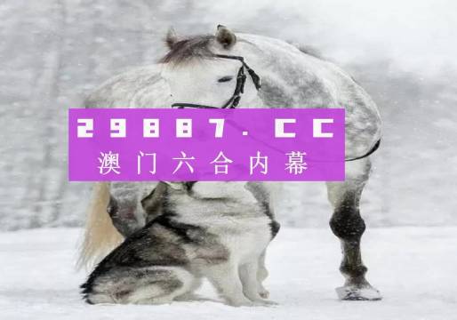 7777788888新版跑狗图解析,经典案例解释定义_PT68.574