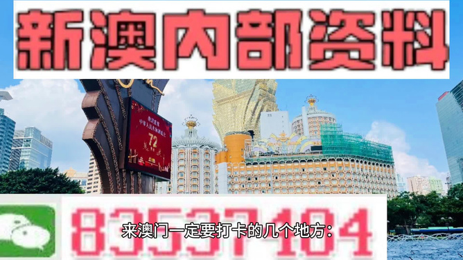 新澳门2024今晚开什么,效率资料解释落实_8DM93.995