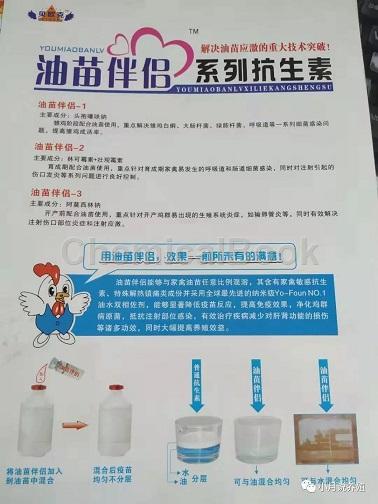 最新兽药配伍禁忌表及其应用重要性解析