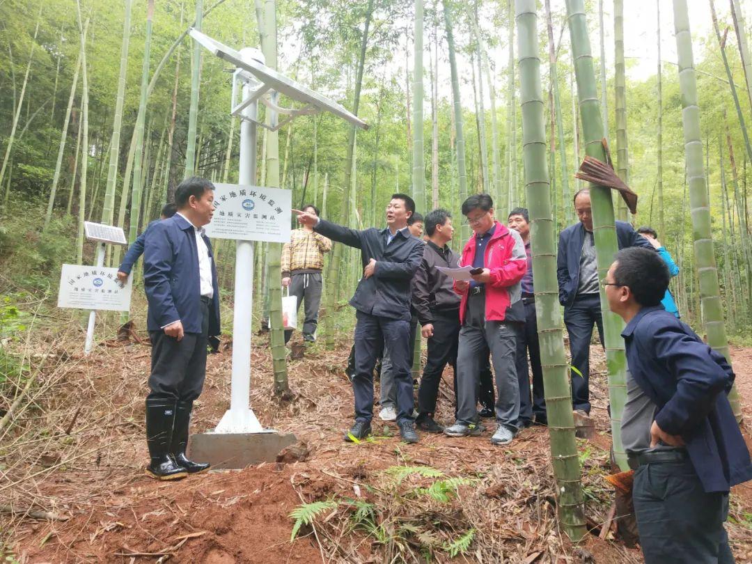 胡坊镇最新领导团队引领未来，共筑辉煌新篇章